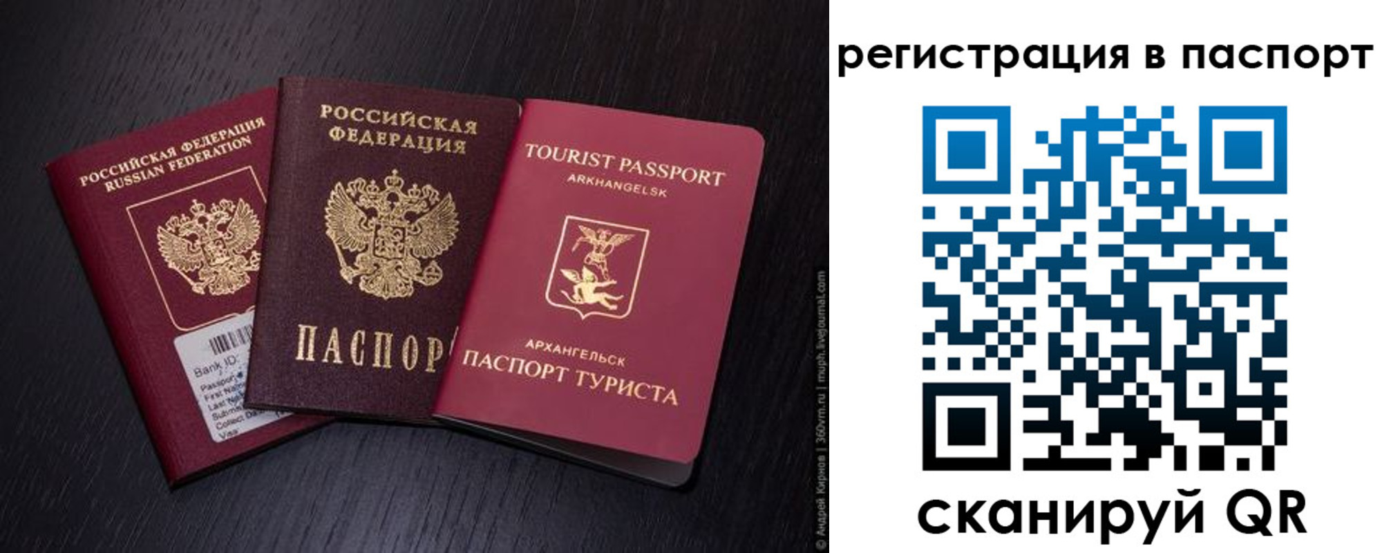 прописка в квартире в Волгоградской области